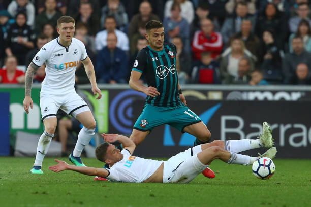 斗志和稳健 斗志和稳健